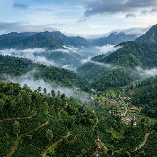 Signature Mysore Taxi Deal: Mysore to Coorg