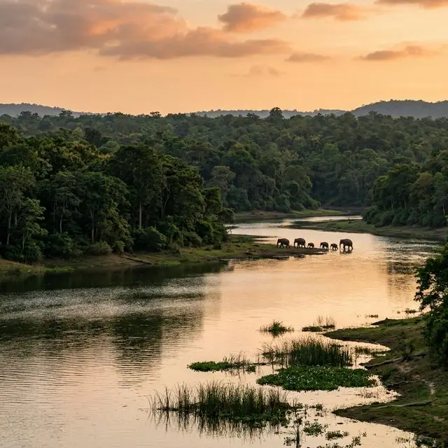 Signature Mysore Taxi Deal: Kabini Wildlife Safari