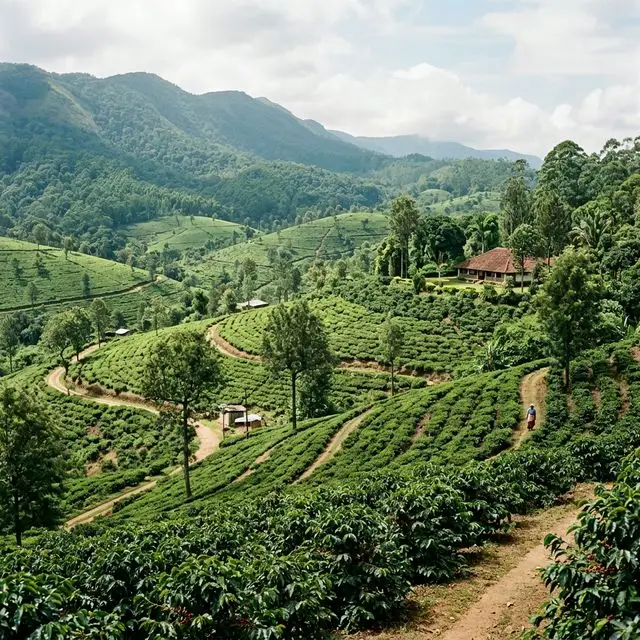 Signature South India Tour: Chikmagalur Day Trip