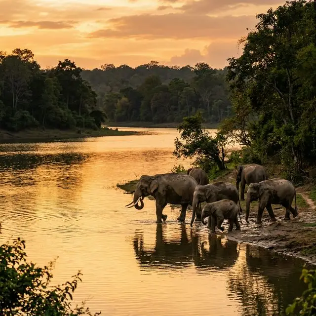 Signature South India Tour: Kabini: The Wild Heart of Nagarhole