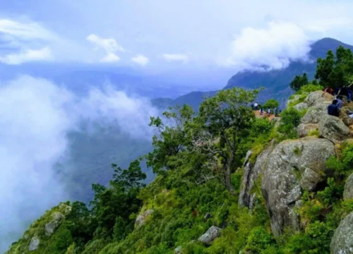 Five Days in Ooty & Wayanad – Misty Hills, Lakes & Wildlife Escape