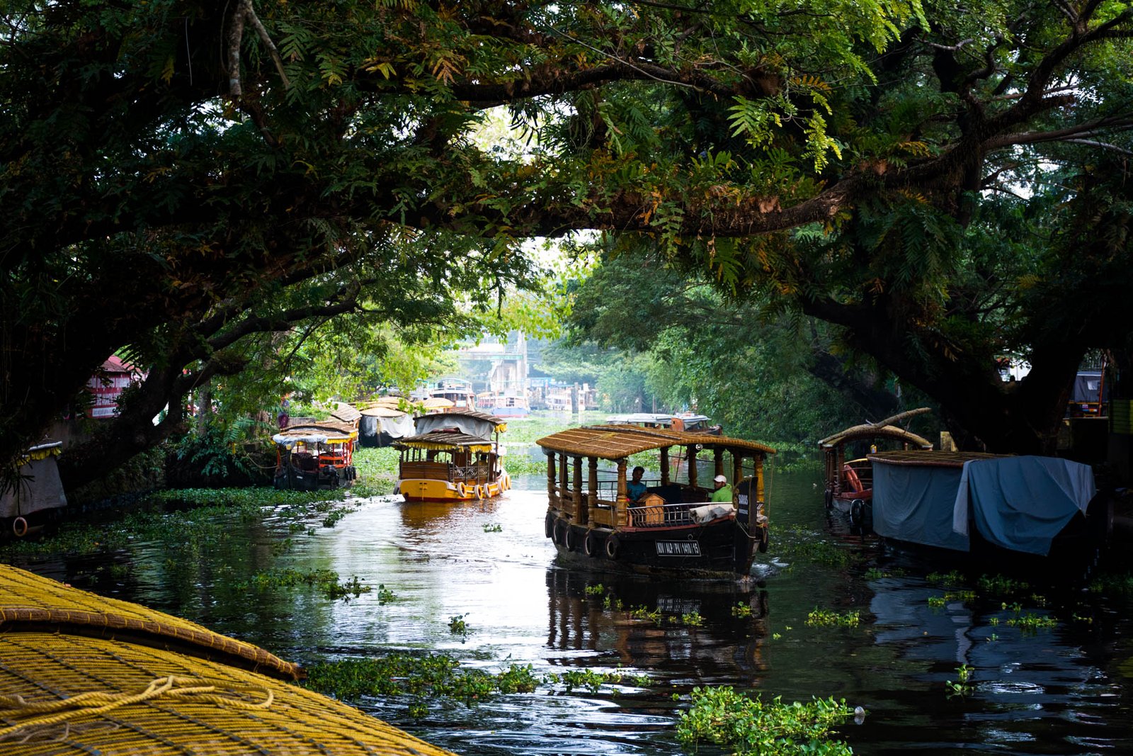 Alleppey 