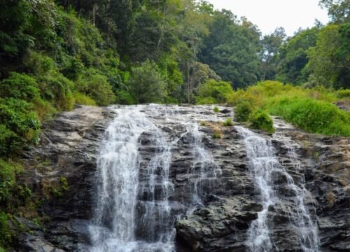 Two Days in Coorg – Coffee Trails & Nature Escape